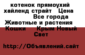 котенок прямоухий  хайленд страйт › Цена ­ 10 000 - Все города Животные и растения » Кошки   . Крым,Новый Свет